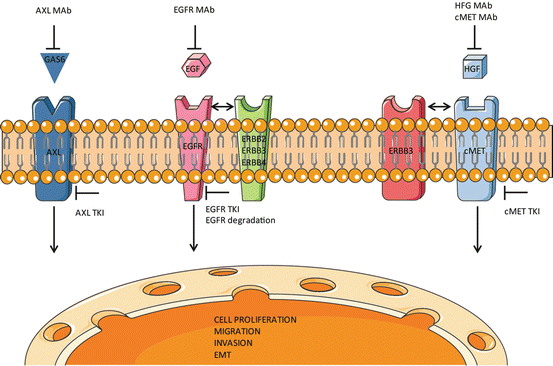 A316282_1_En_7_Fig1_HTML.gif