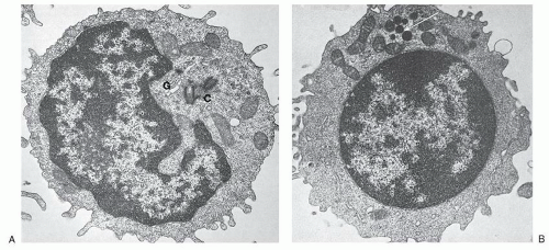 Lymphocytes and Lymphatic Organs | Oncohema Key