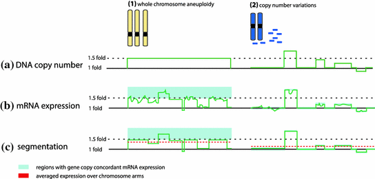 A317854_1_En_9_Fig3_HTML.gif