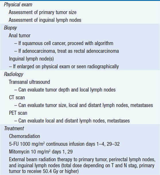 Anal Cancer Oncohema Key