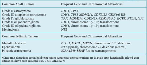 Central Nervous System Tumors | Oncohema Key