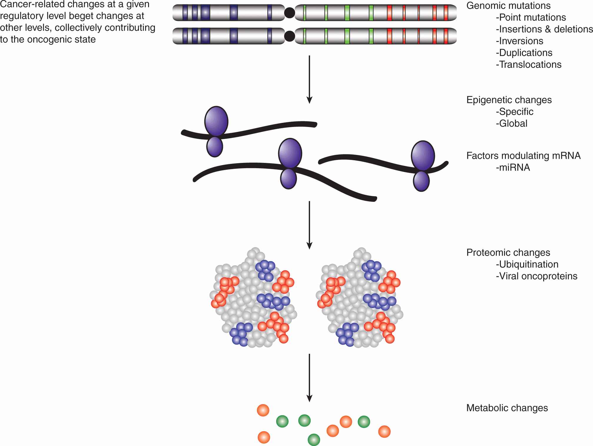 Oncogenes And Tumor Suppressor Genes Oncohema Key