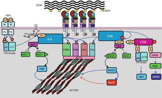 A315138_1_En_10_Fig3_HTML.gif