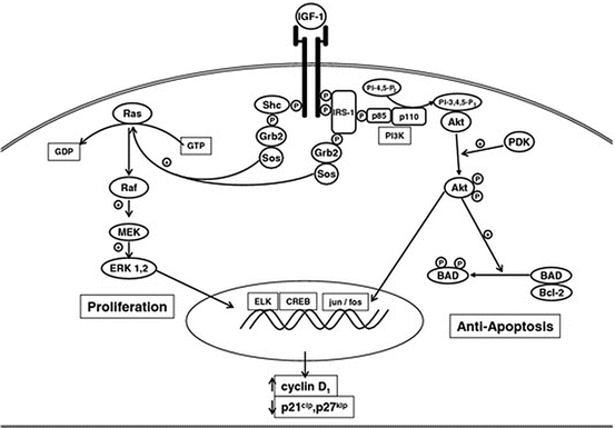 A317635_1_En_24_Fig3_HTML.gif