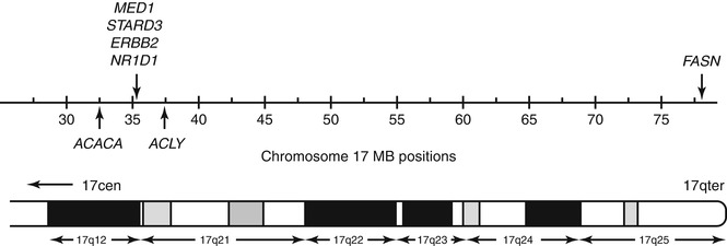 A311590_1_En_11_Fig4_HTML.jpg