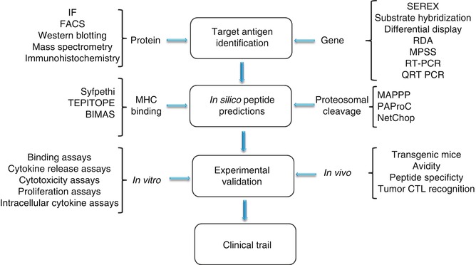 Tumor Antigen and Epitope Identification for Preclinical and Clinical ...