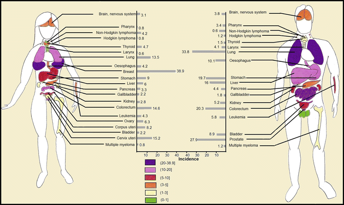 A316463_1_En_1_Fig3_HTML.gif