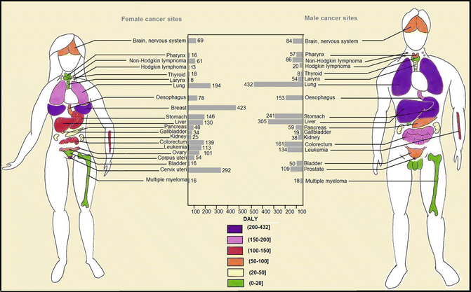 A316463_1_En_1_Fig9_HTML.gif