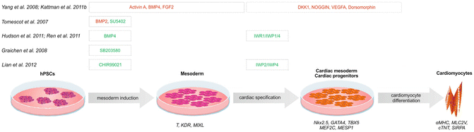 A320614_1_En_5_Fig1_HTML.gif