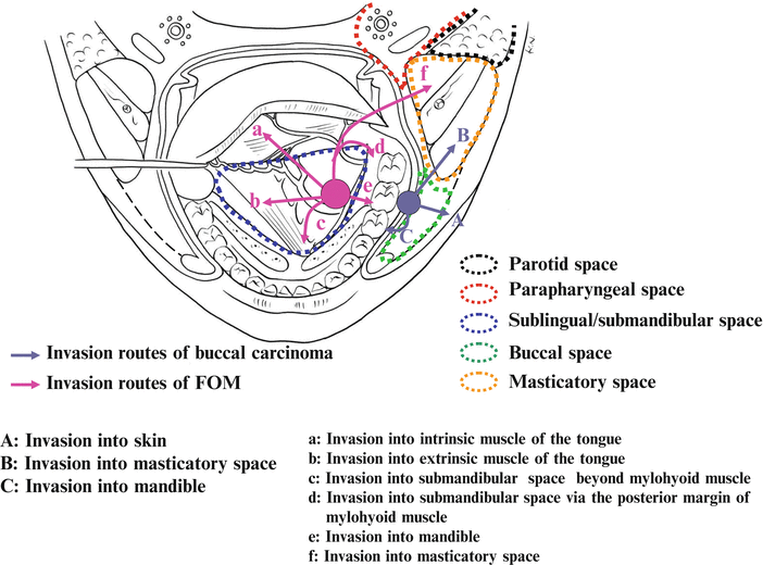 A315028_1_En_2_Fig14_HTML.gif