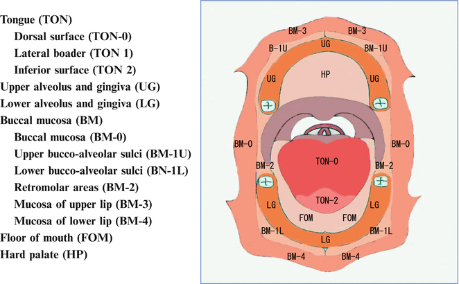 A315028_1_En_2_Fig2_HTML.gif