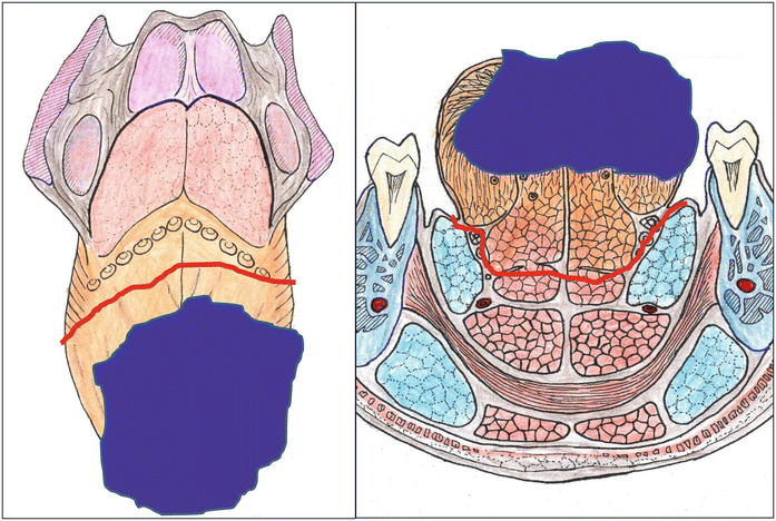 A315028_1_En_7_Fig22_HTML.gif