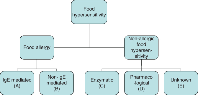 food-hypersensitivity-oncohema-key