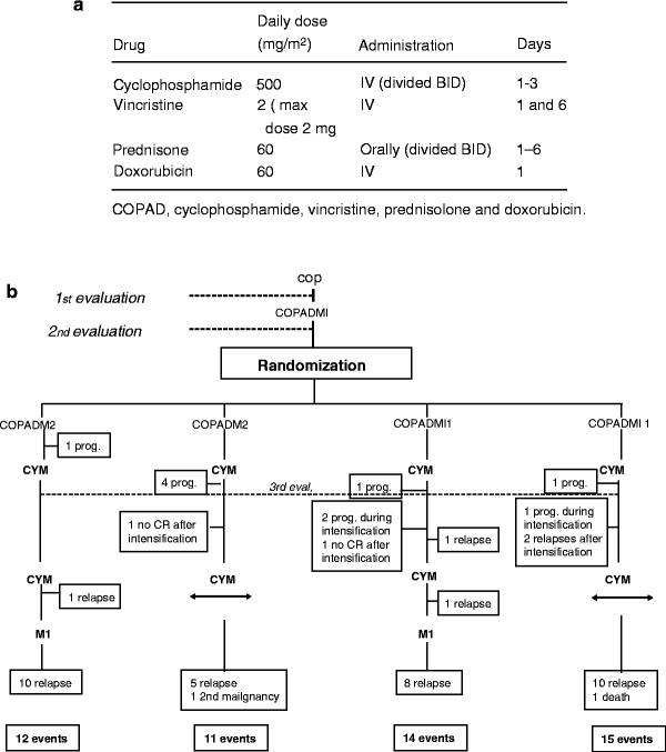 Non-Hodgkin Lymphoma Of Childhood | Oncohema Key