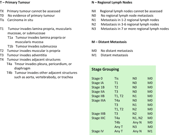 Esophageal Cancer Staging Ajcc 7th Edition