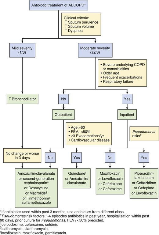 Acute Exacerbations Of Chronic Obstructive Pulmonary Disease | Oncohema Key