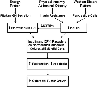 Epidemiology Of Colorectal Cancer | Oncohema Key