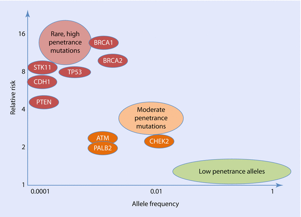 Hereditary Breast Cancer Genetics And Risk Prediction Techniques ...