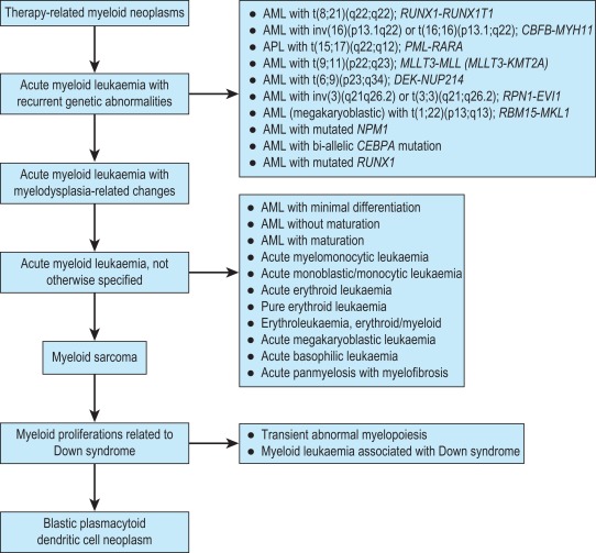 Approach To The Diagnosis And Classification Of Blood Cell Disorders ...