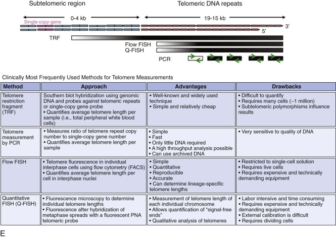 Inherited Bone Marrow Failure Syndromes Oncohema Key