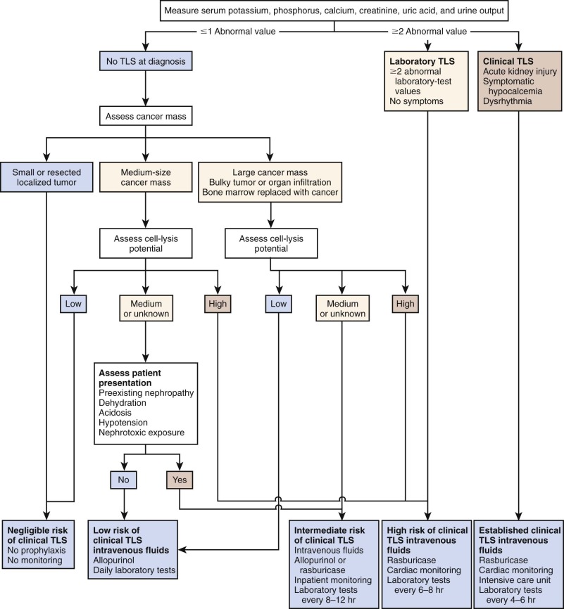 Oncologic Emergencies | Oncohema Key