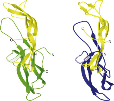 Gonadotropin Hormones And Their Receptors | Oncohema Key