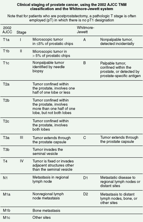 Cancer Of The Genitourinary Tract | Oncohema Key