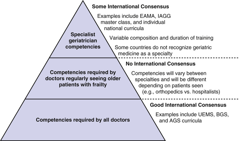 Education In Geriatric Medicine | Oncohema Key